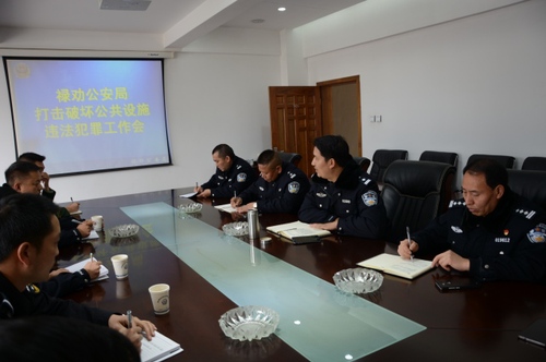 禄劝公安局召开打击破坏市政公共设施违法犯罪工作会