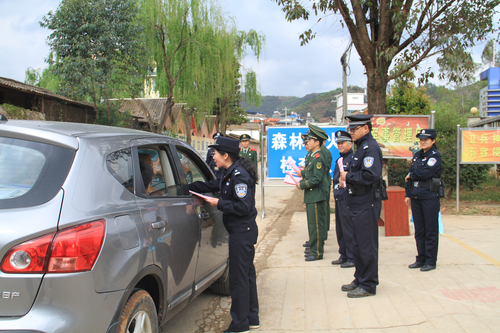 图片3