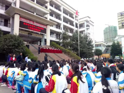 图片2