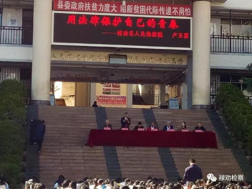 图片3